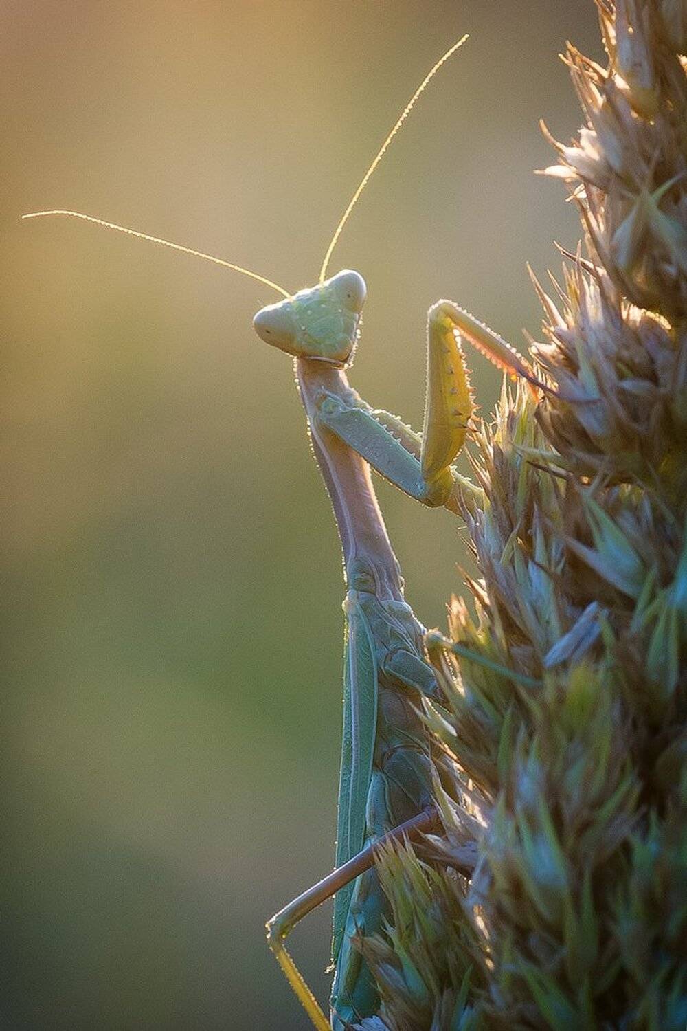 , Кузнецов Дмитрий