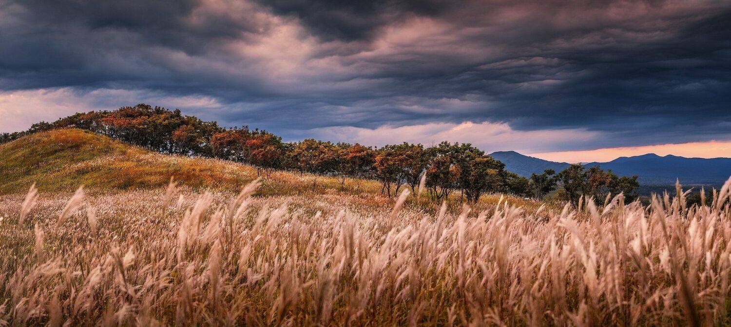 Вечер, Небо, Осень, Андрей Кровлин