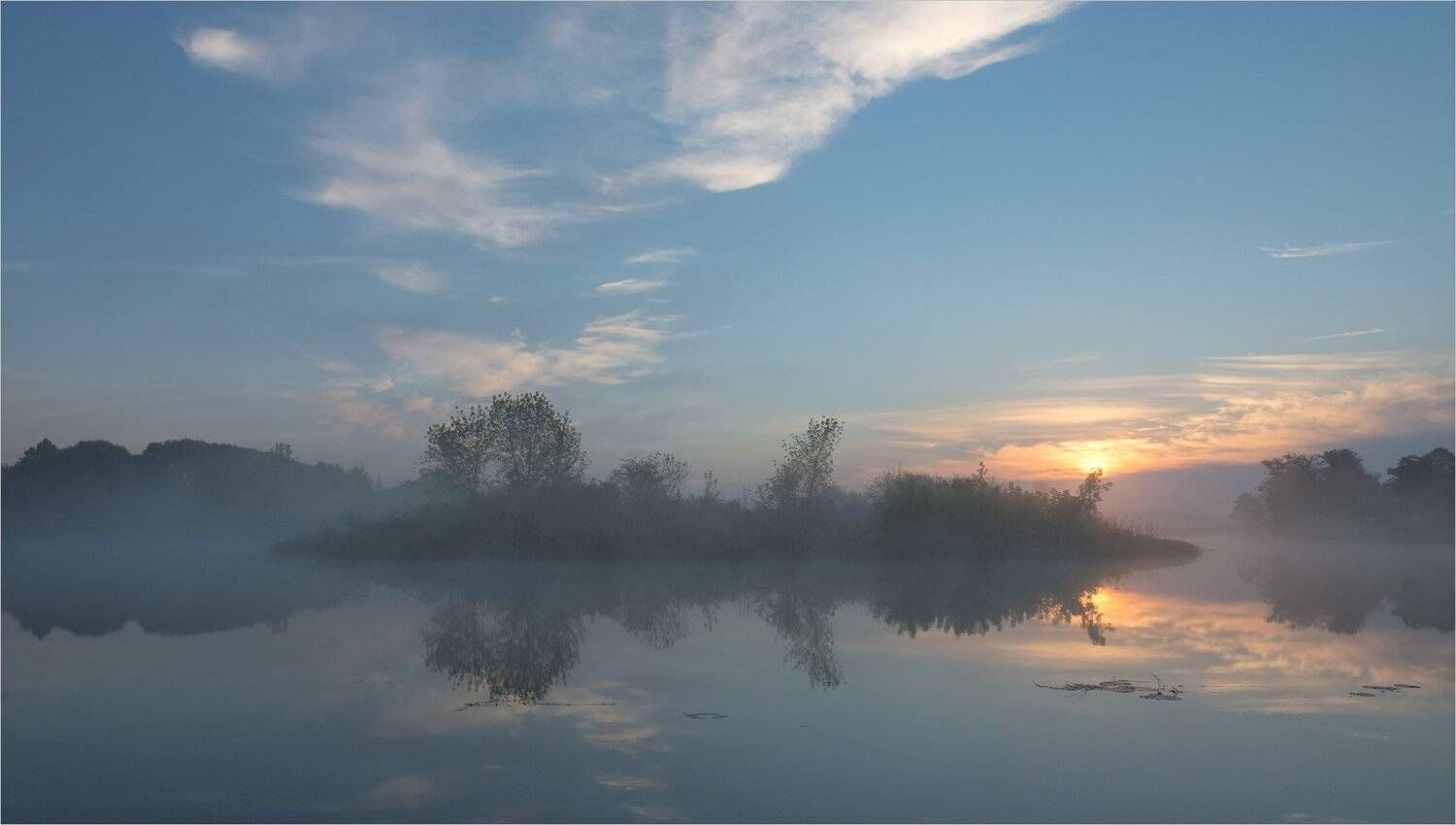 , Николай Шахманцир