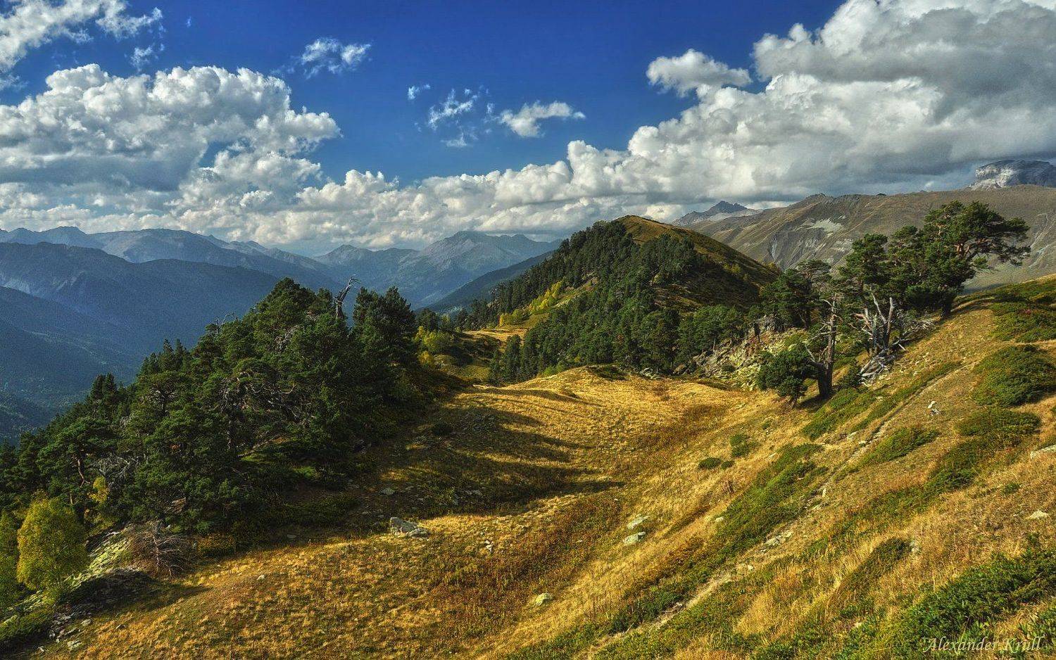 кавказ, кчр, Александр Круль