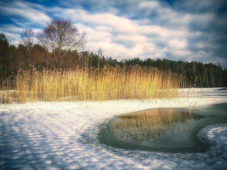 , Федотов Антон