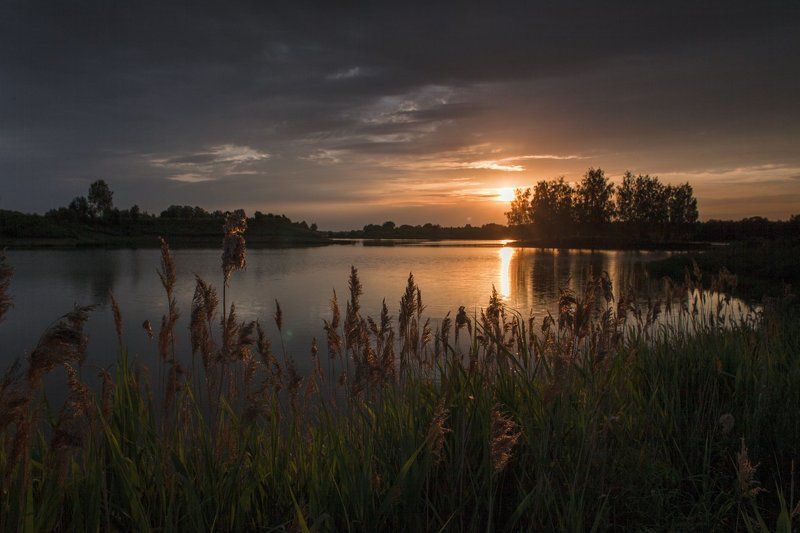 Вечер у тихой заводи фото превью