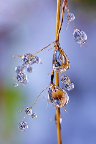 Слёзы октября