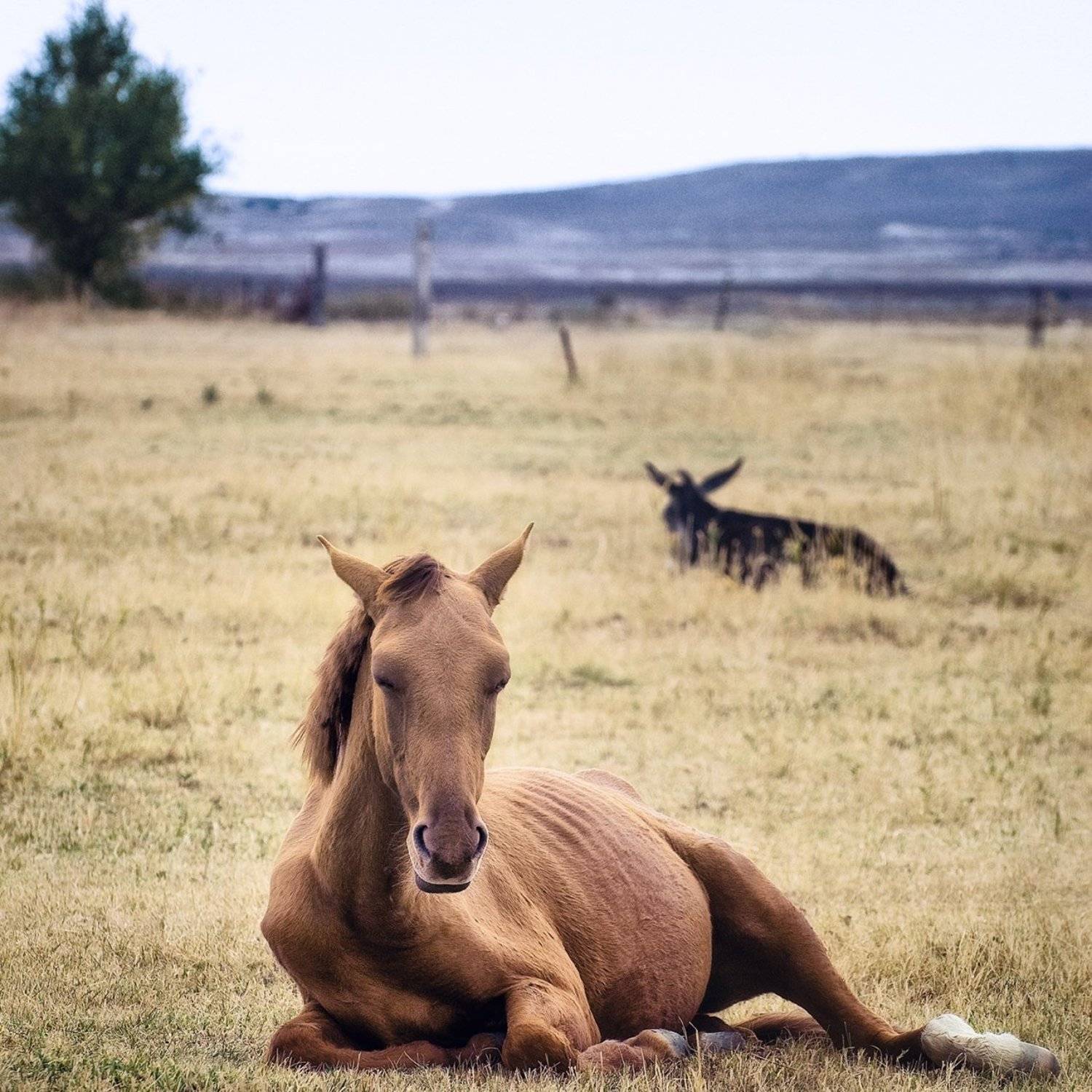 , Серик Есентаев