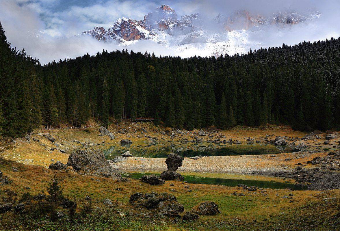 , Игорь Дубровский