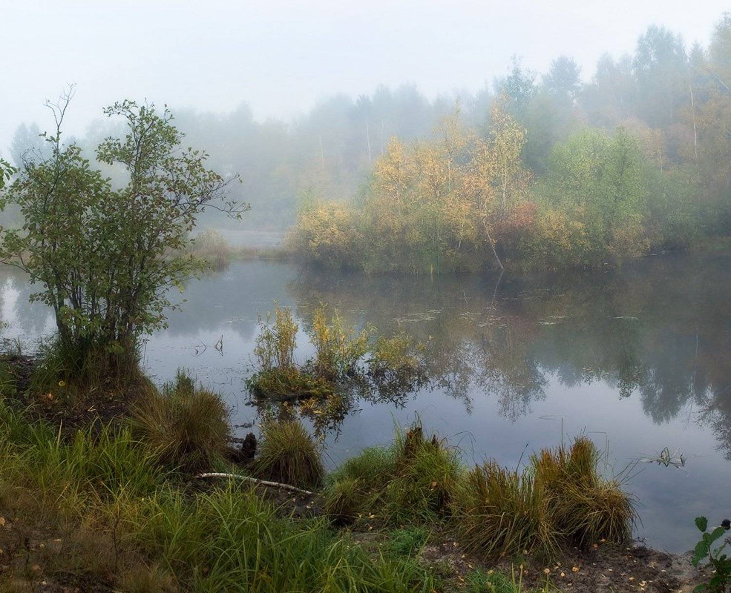 , Дмитрий Алексеев