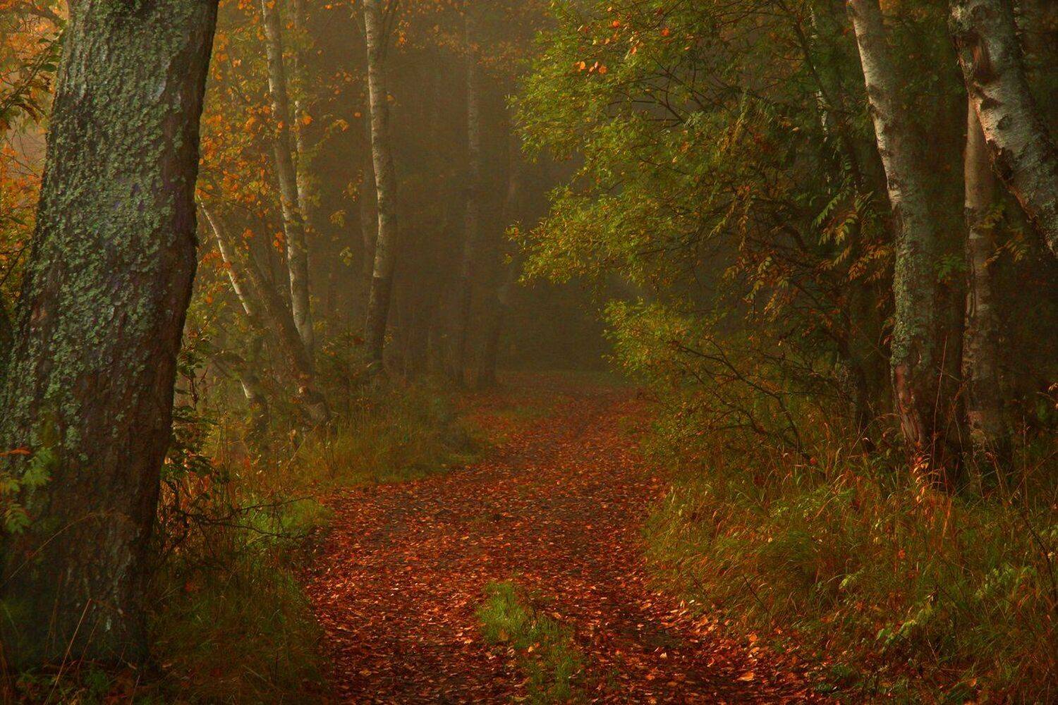 , Петр Косых