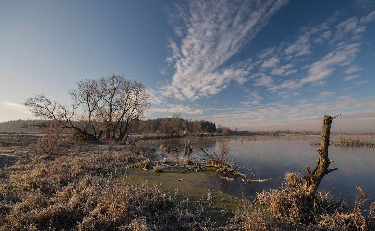 , Володимир Карчевський
