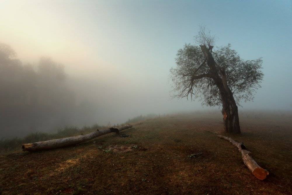 , Петриченко Валерий