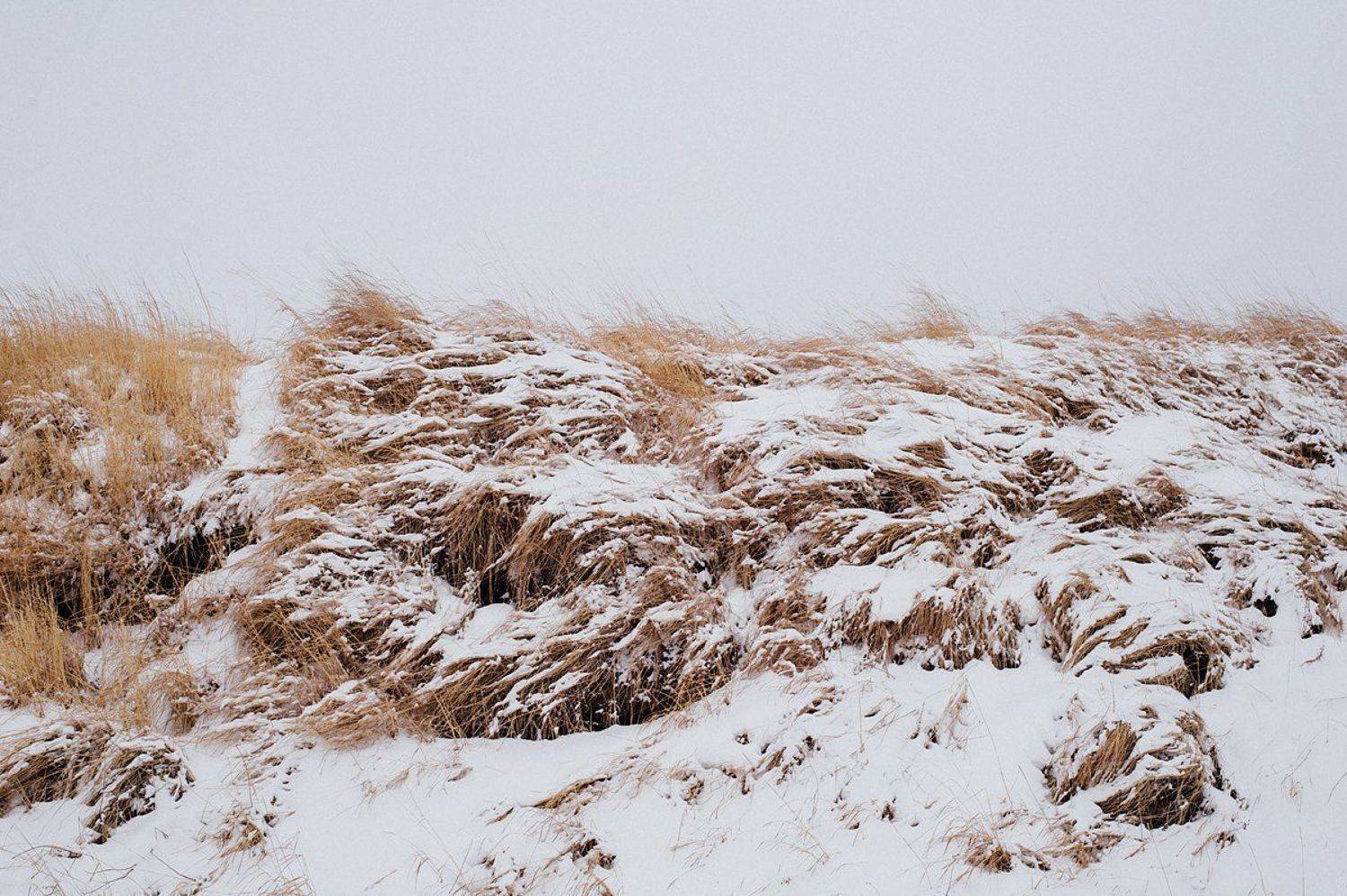 , Евгений Труфанов