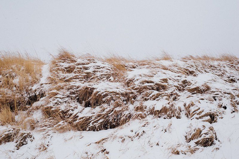 Зимние сны фото превью