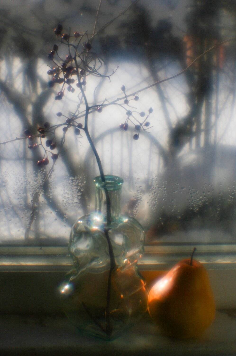 , Vera Misha McDonald