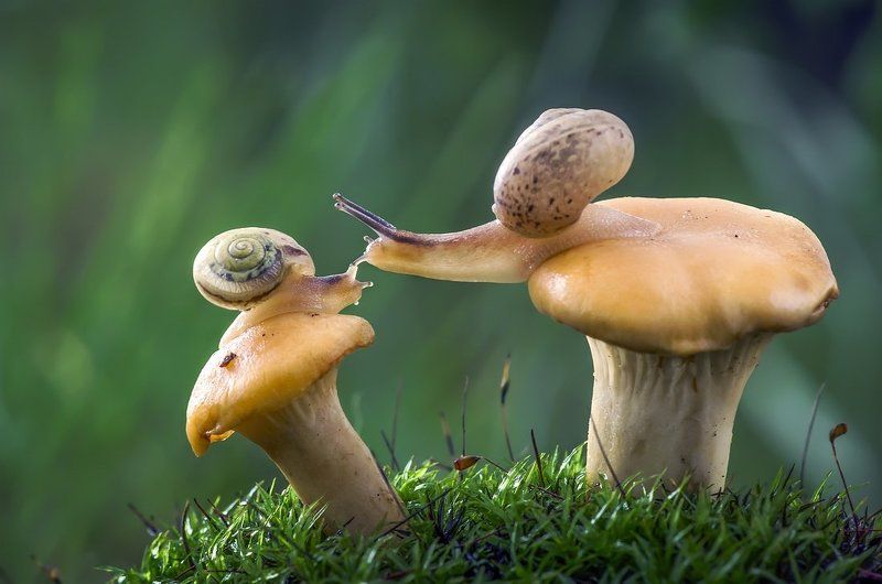 Я готов целовать песок  по которому ты ходила ... фото превью