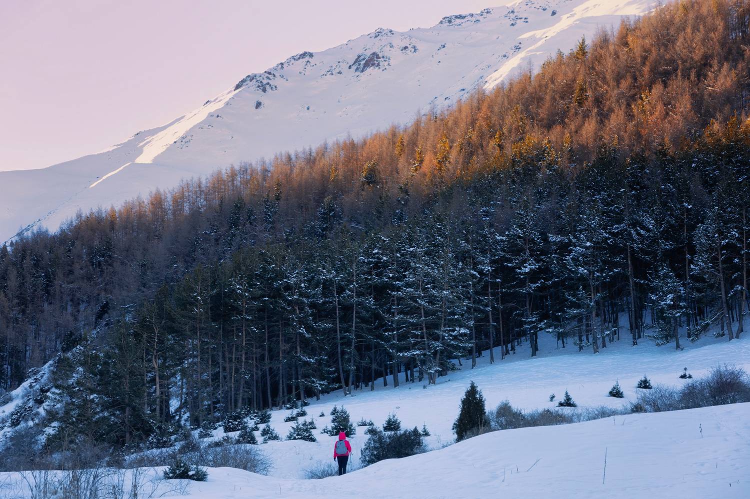 кыргызстан, урочище чункурчак, Элина Магалимова