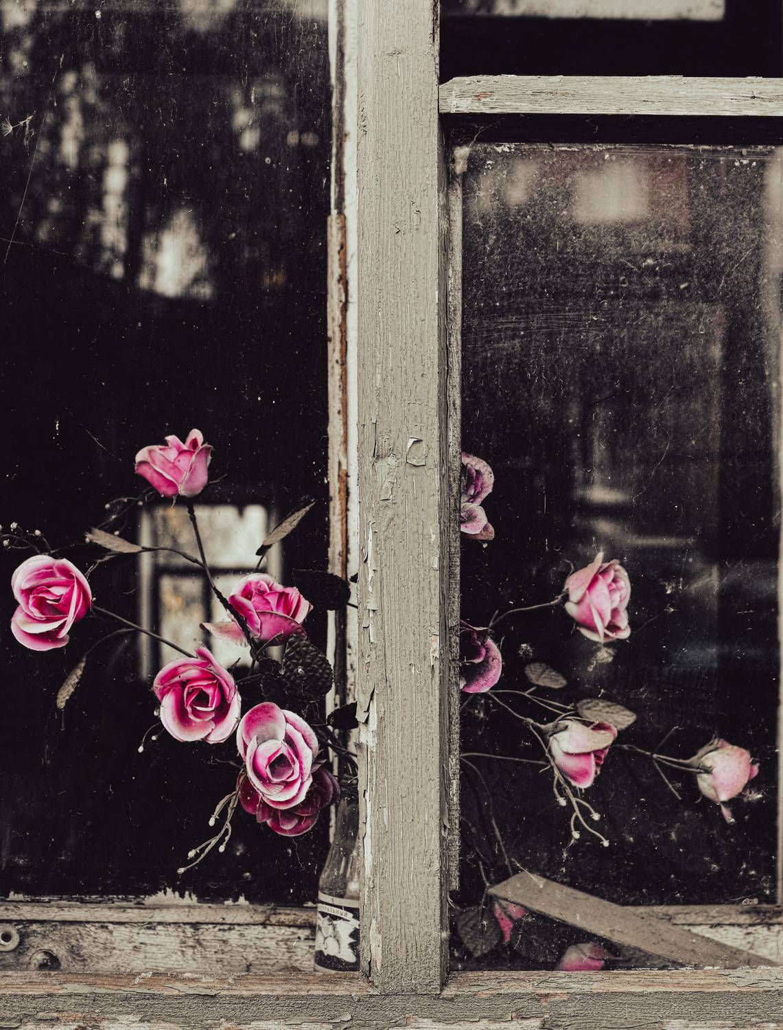 , Лофицкая Лариса