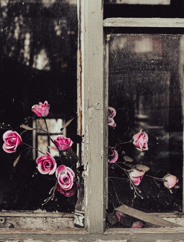 Окно фото превью