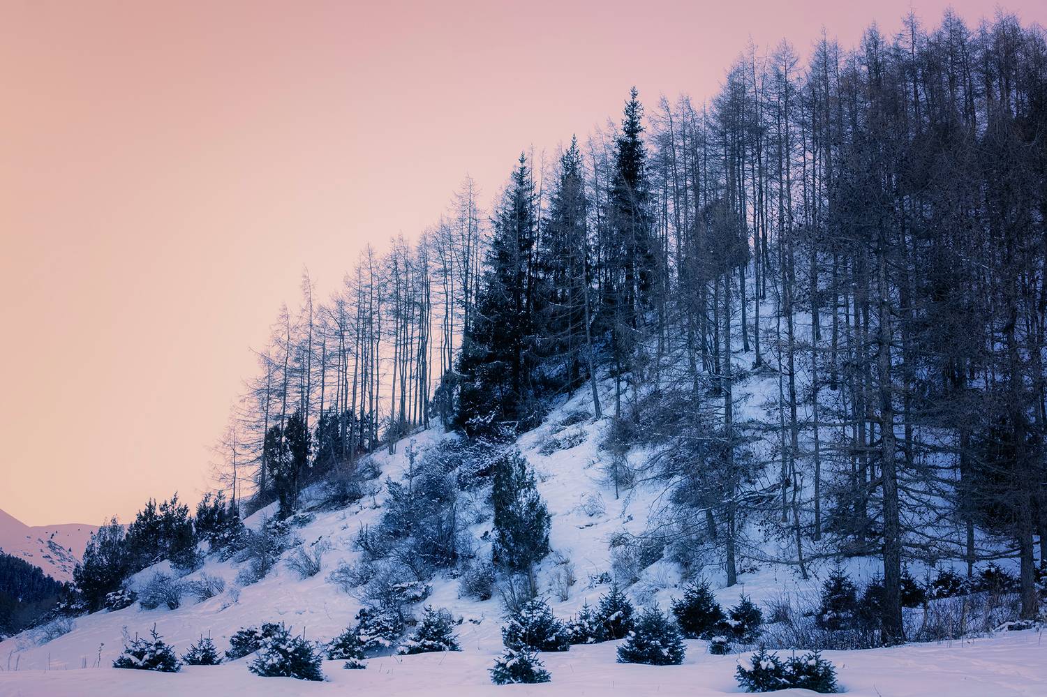 кыргызстан, урочище чункурчак, Элина Магалимова