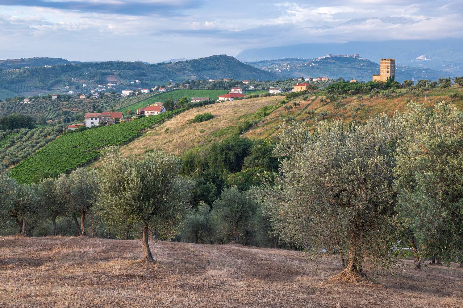 , Гордон Николай