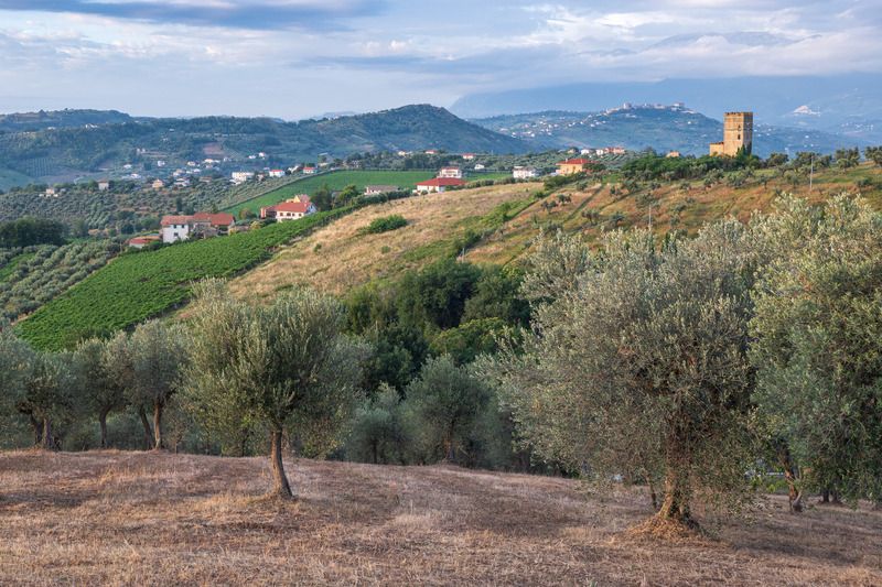 Утро где-то в Италии фото превью