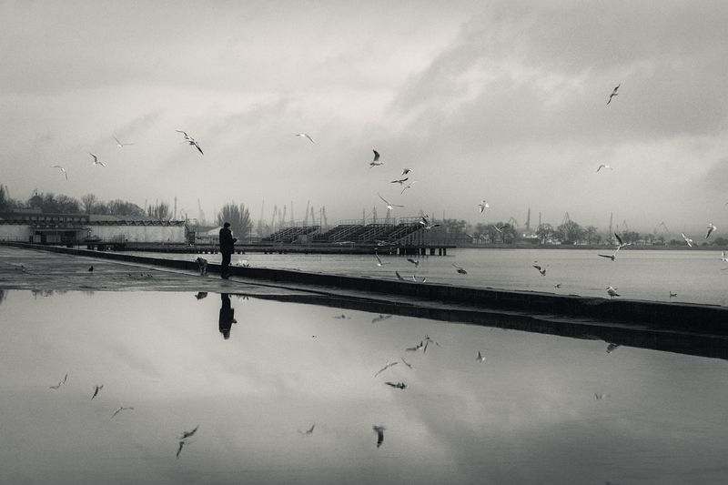 зима, крымская зима, черно-белое, монохром, уличное, уличная фотография, город, повседневное, жизнь, черное море, птицы, чайки, старик, кормёжка, пейзаж, атмосфера, природа, отражения, мануальное, винтажная оптика, юпитер-8, керчь, крым, россия Повелитель голодных чаек. фото превью