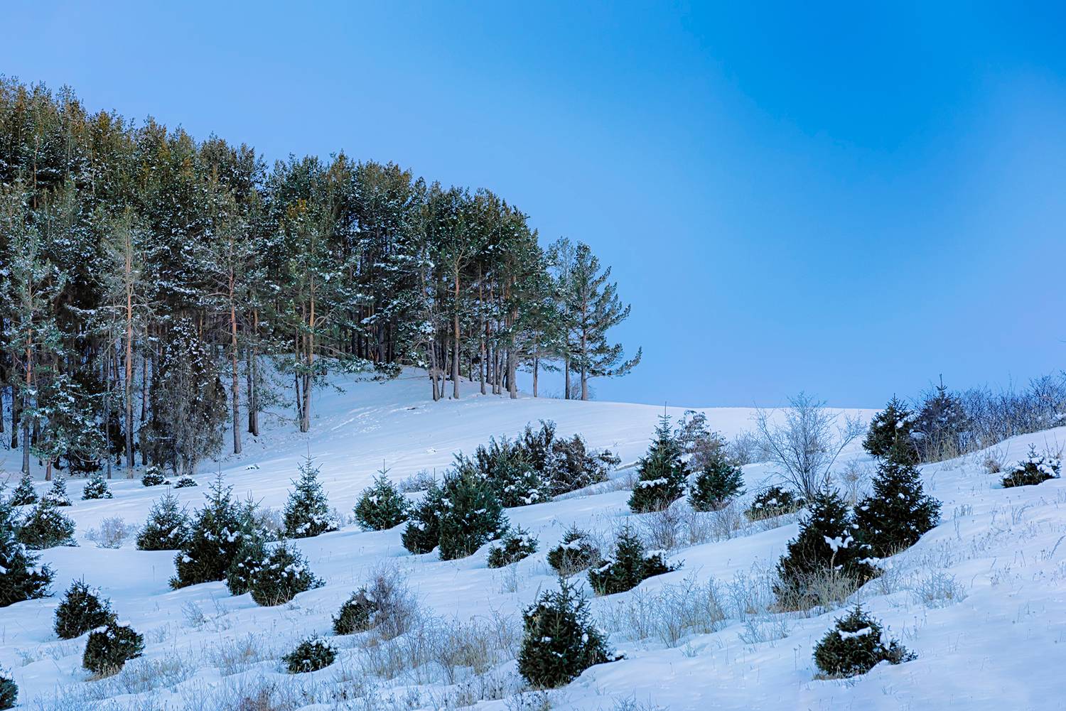 кыргызстан, урочище чункурчак, Элина Магалимова