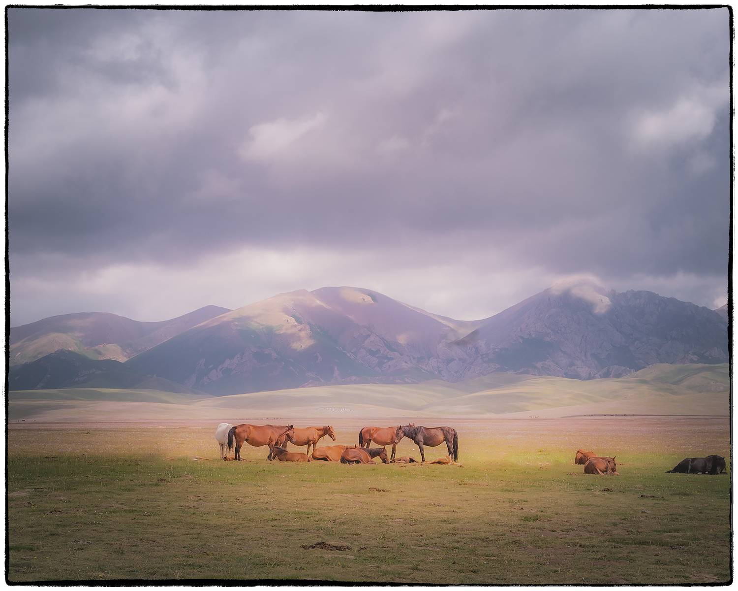, Владимир Поляков