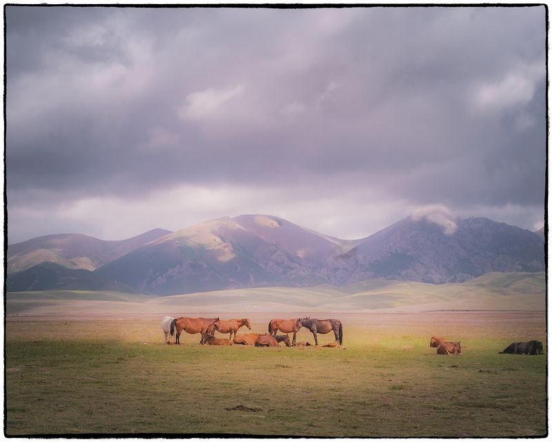 На рассвете фото превью