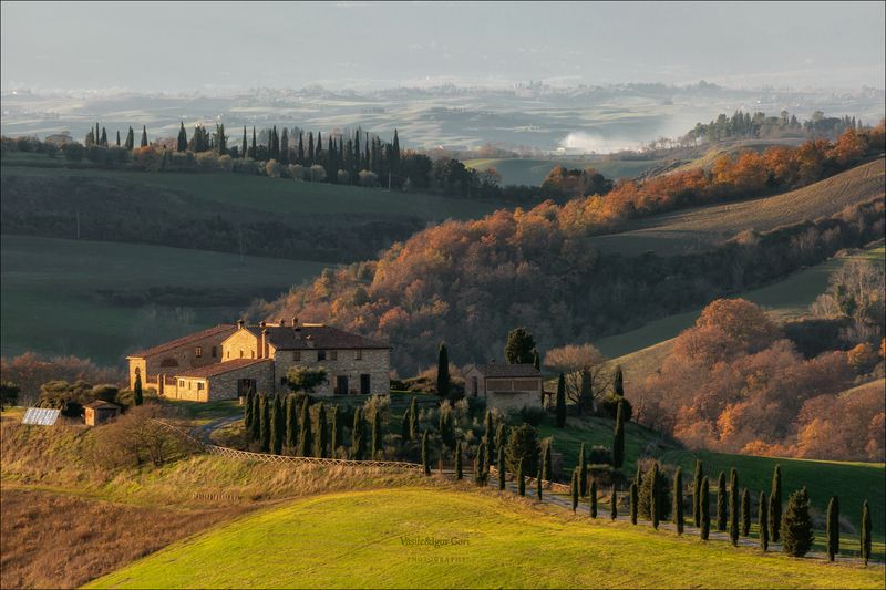 italy, crete senesi,italia,италия,тоскана,кипарис,toscana,осень,tuscany,cipressi,belvedere,asciano,тени,podere baccoleno,rural Podere Baccoleno фото превью