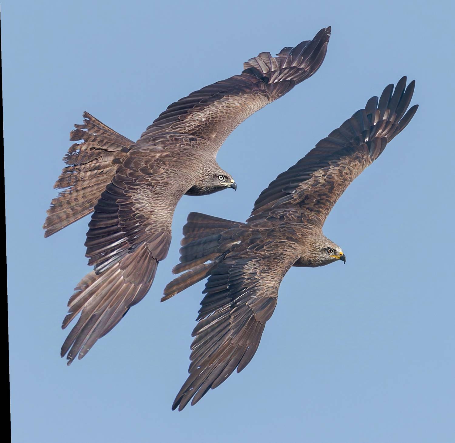 , Фото Александр