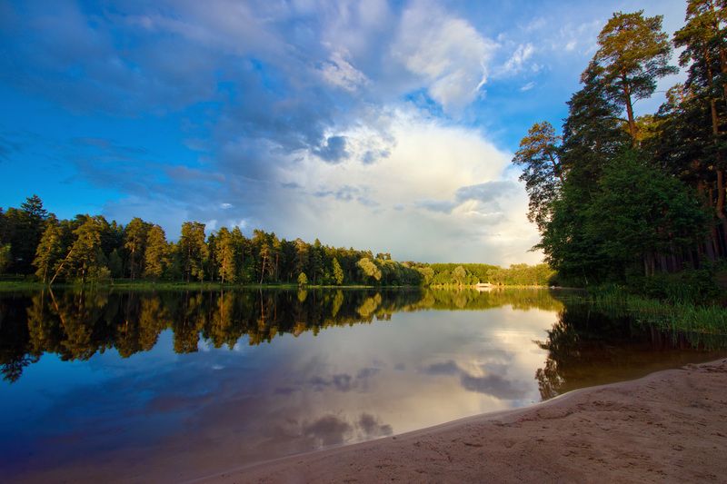 лес, озеро, лето На озере фото превью