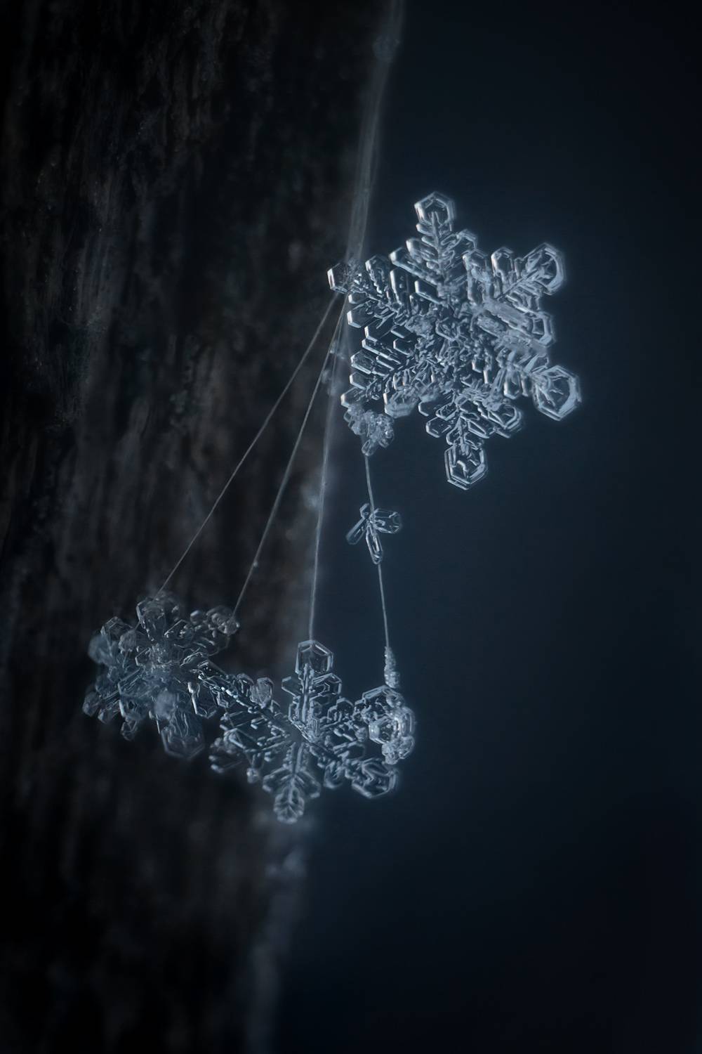 зима, снег, снежинки, Алёна Сурнина