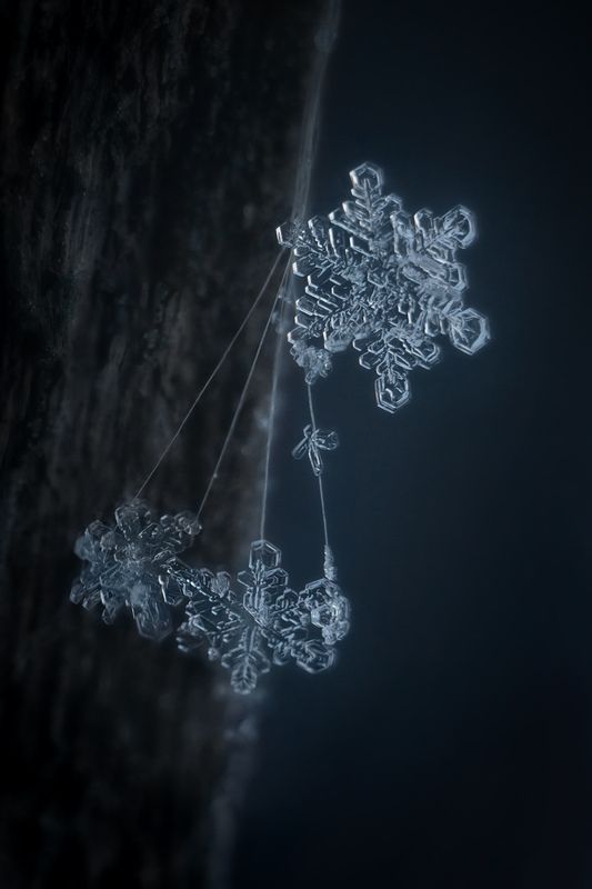 Про брошки с подвесками фото превью