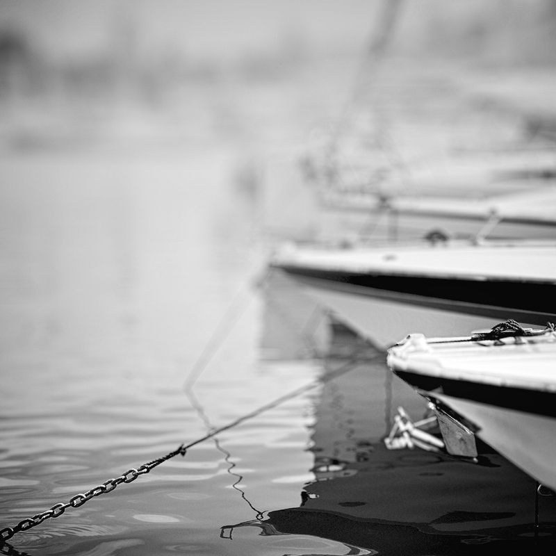 Amarra фото превью