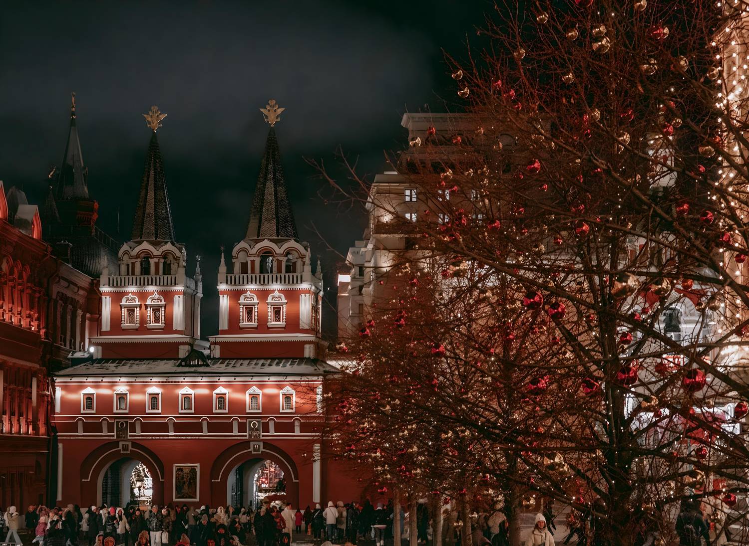 , Трепольский Дмитрий