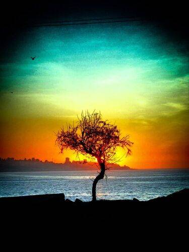 VALPARAÍSO/VIÑA DEL MAR