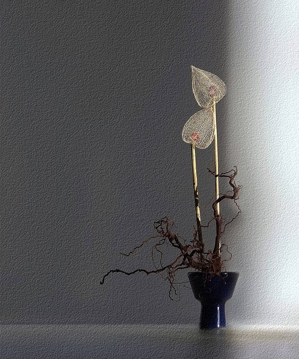 , Заболотская Ольга