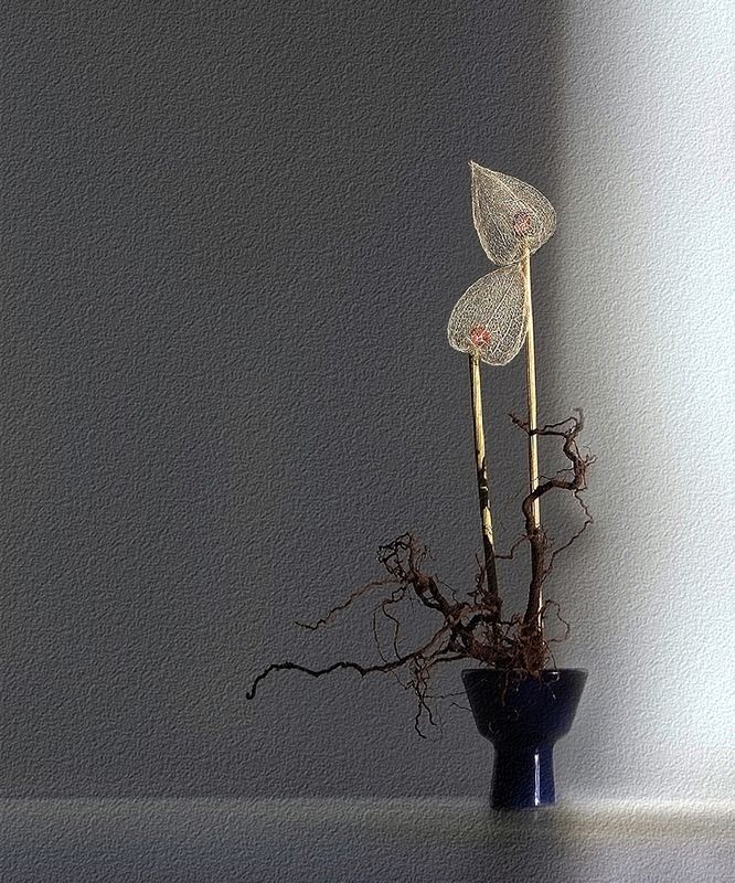 Асисяй фото превью