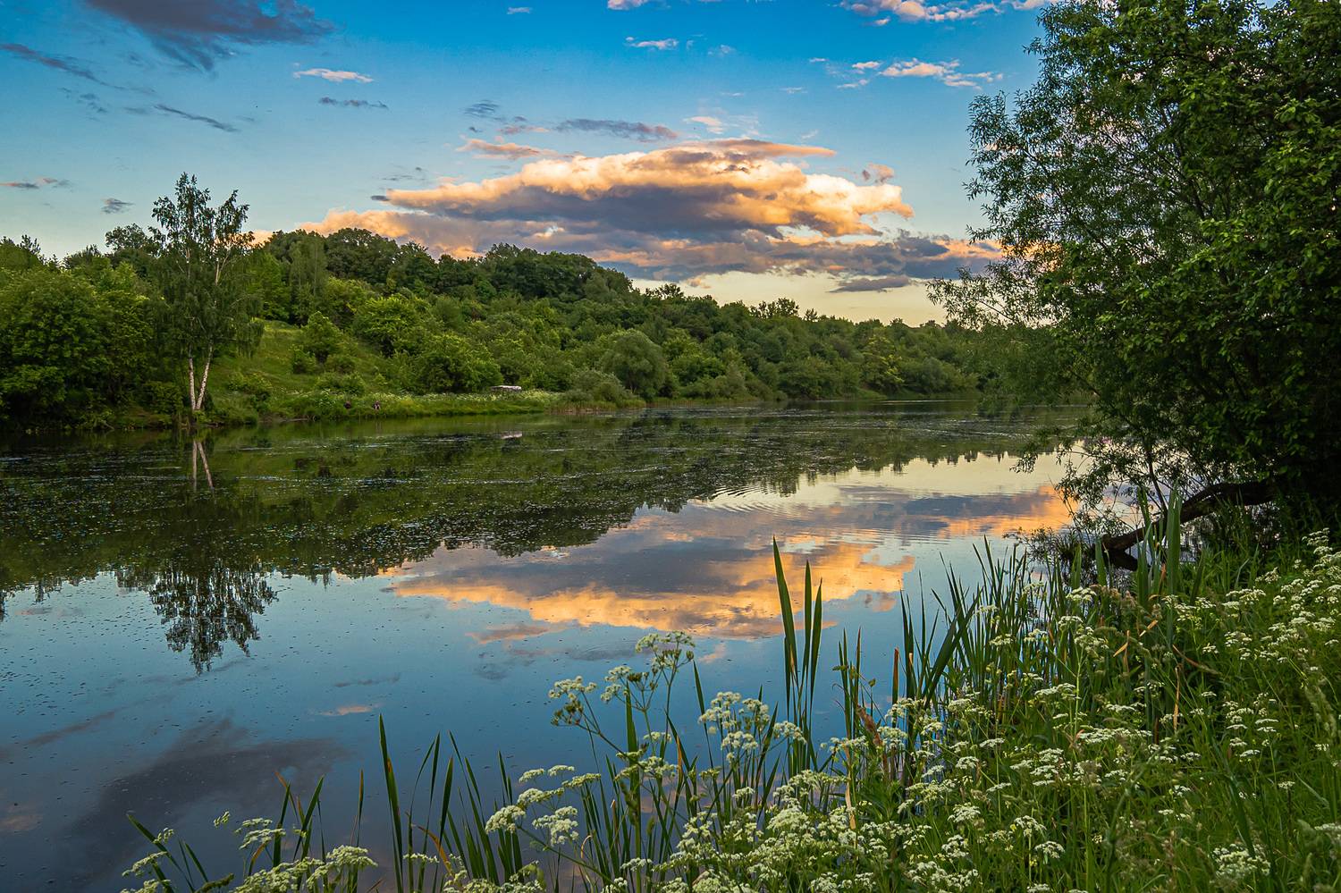 река, ливенка, вечер, лето,, Николай Бологов