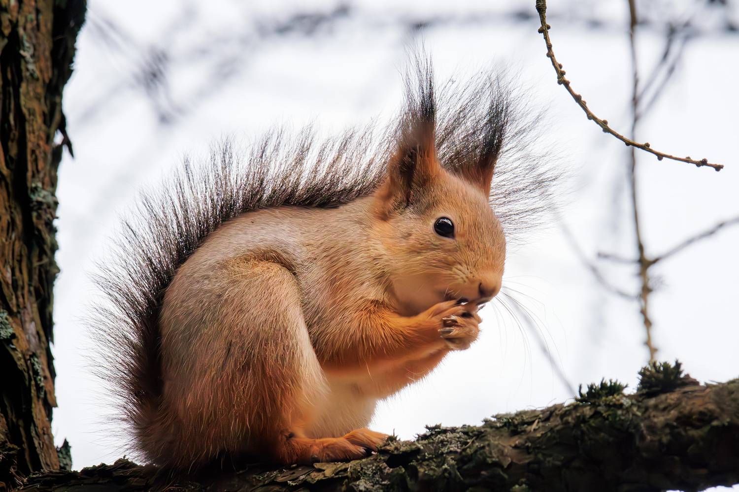 , Морозов Сергей