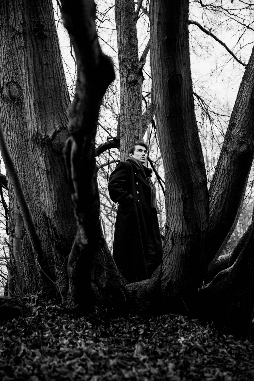 , Анна Дондыш