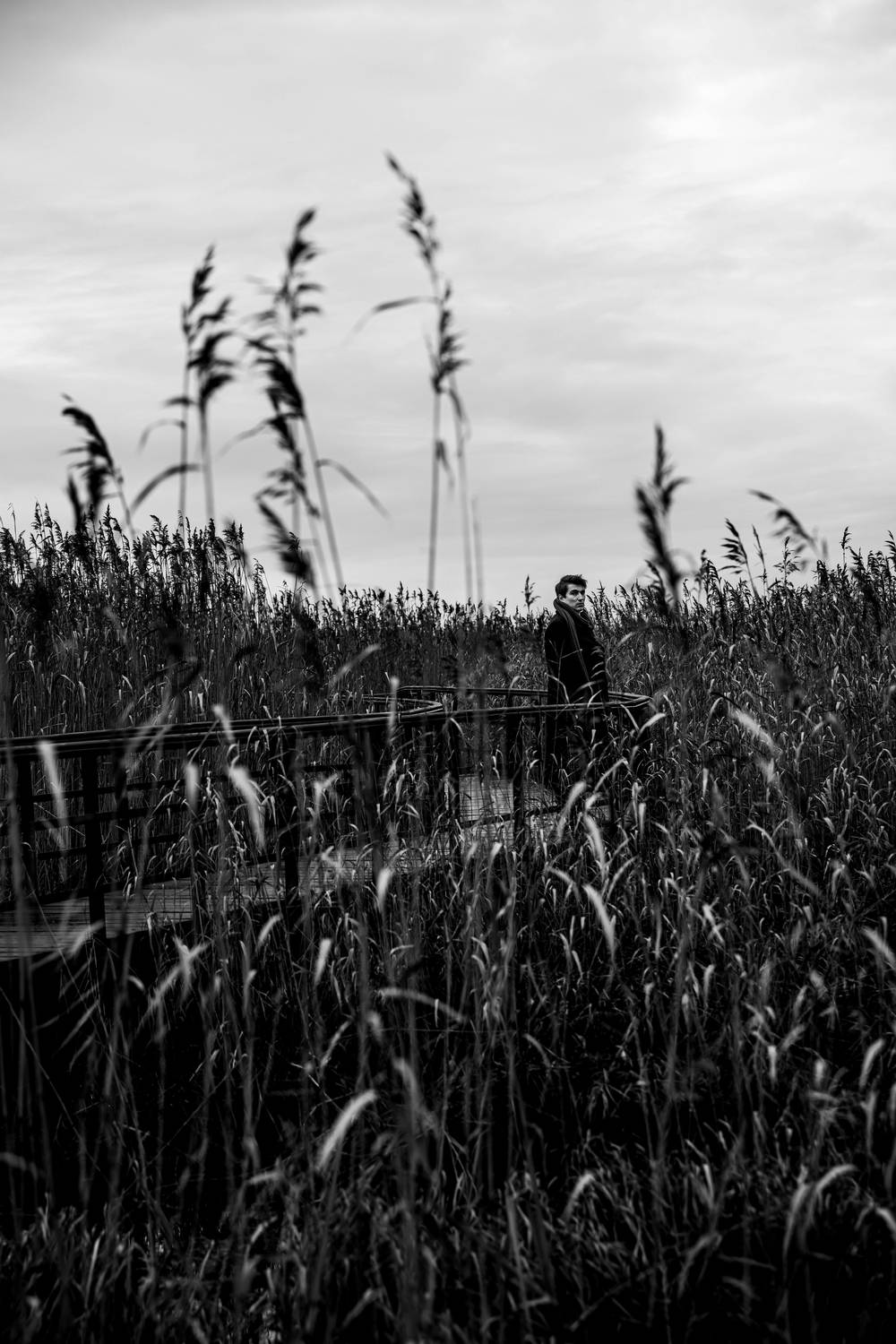 , Анна Дондыш