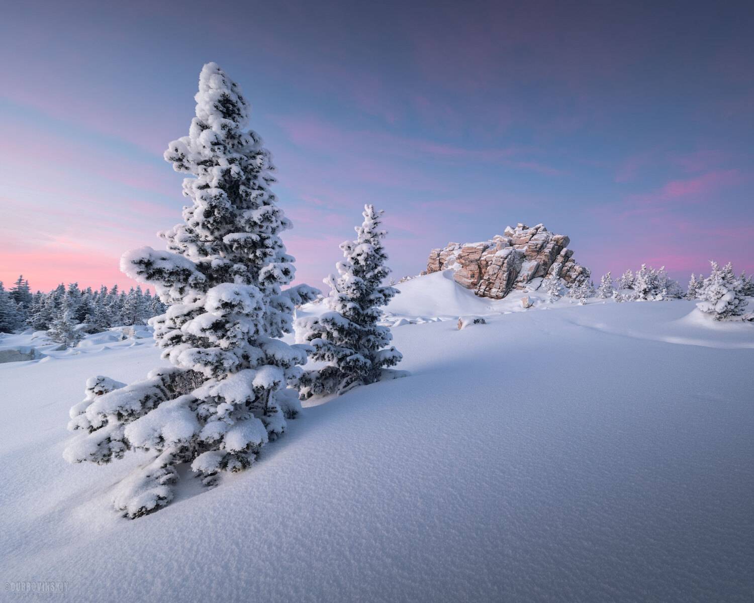 зюраткуль, урал, челябинская область, мороз, зима, елки, Дубровинский Михаил