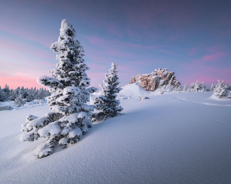 зюраткуль, урал, челябинская область, мороз, зима, елки Зюраткуль фото превью