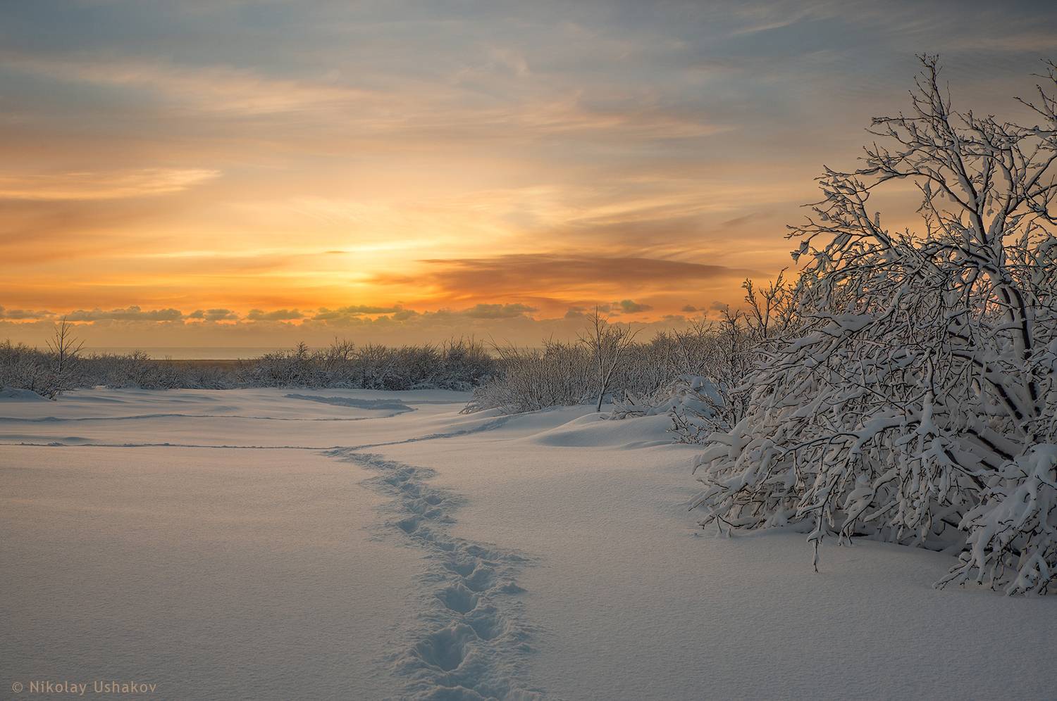 Камчатка, рассвет, снег, Ушаков Николай