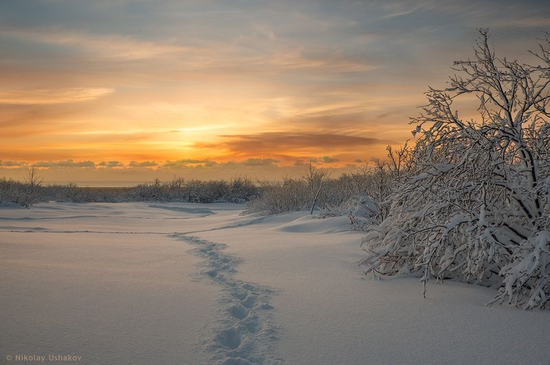 Камчатка, рассвет, снег по свежему снежку фото превью