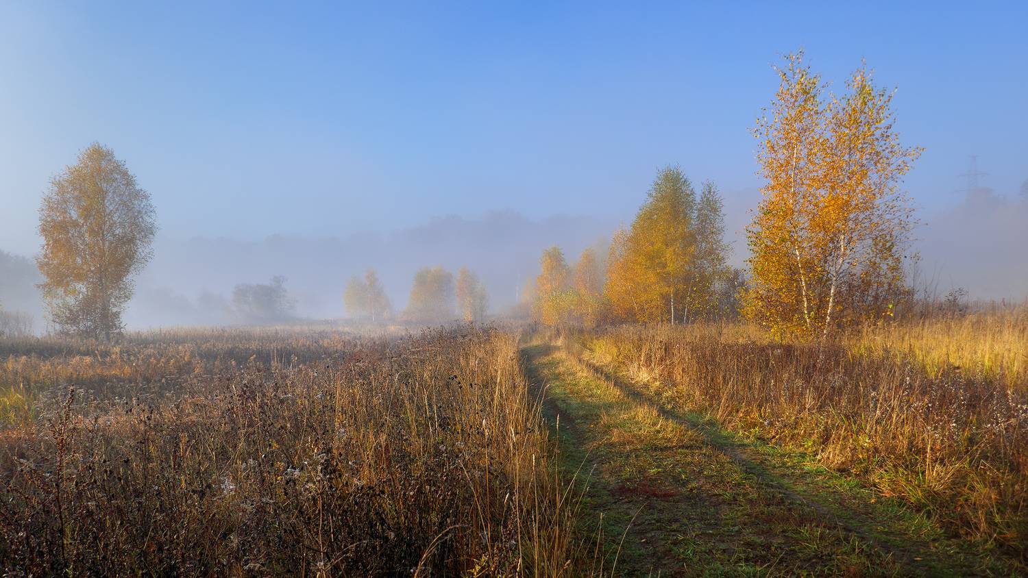 золотая осень, туман, Медведев Александр