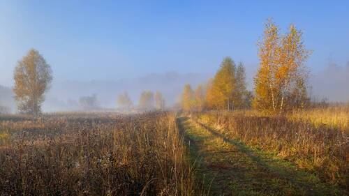 Октябрьское утро