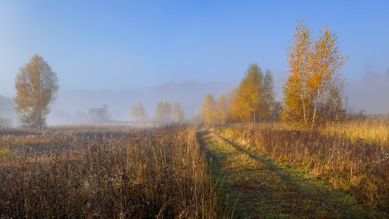 Октябрьское утро фото превью