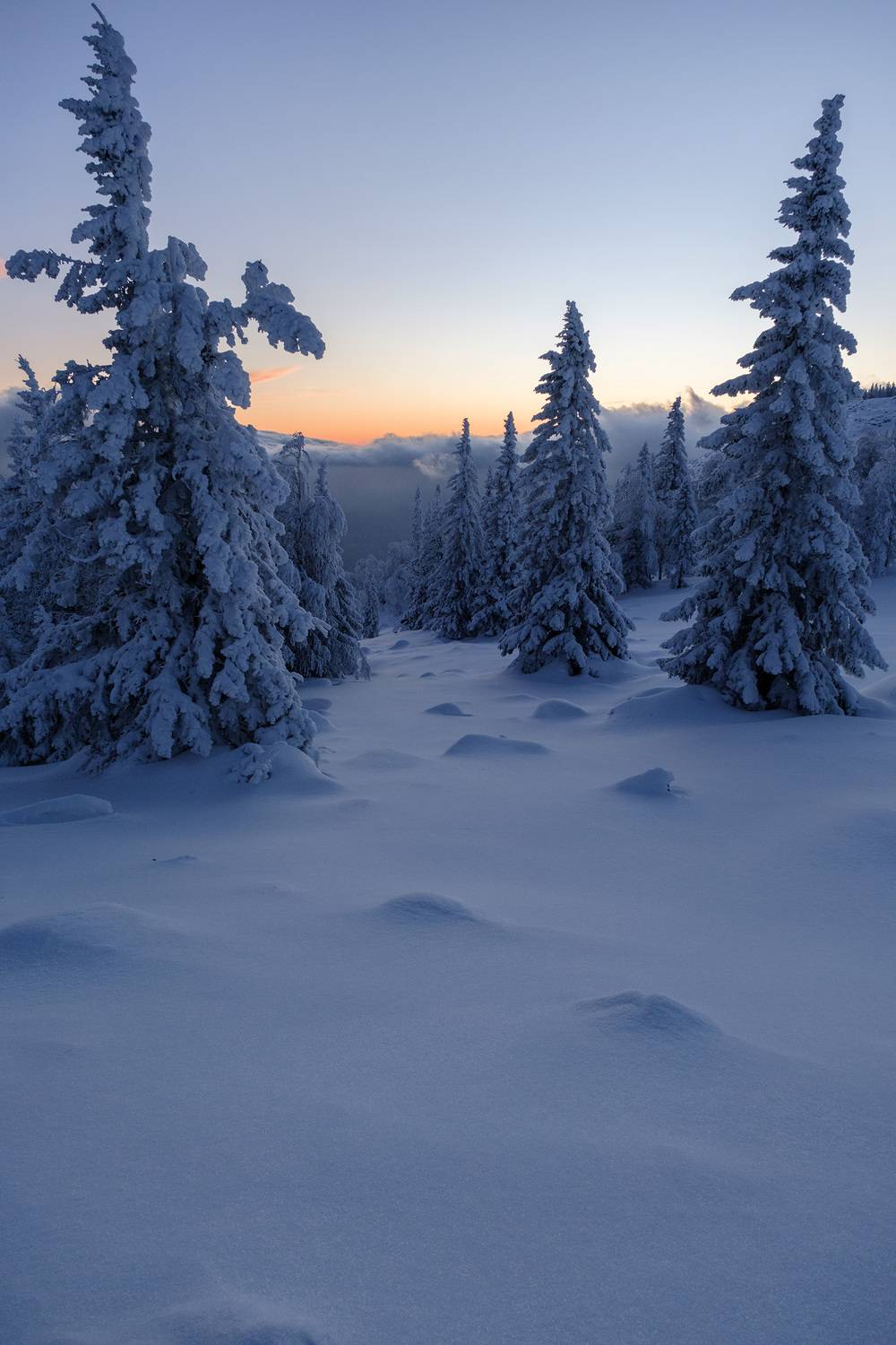 , Бодрягин Виталий