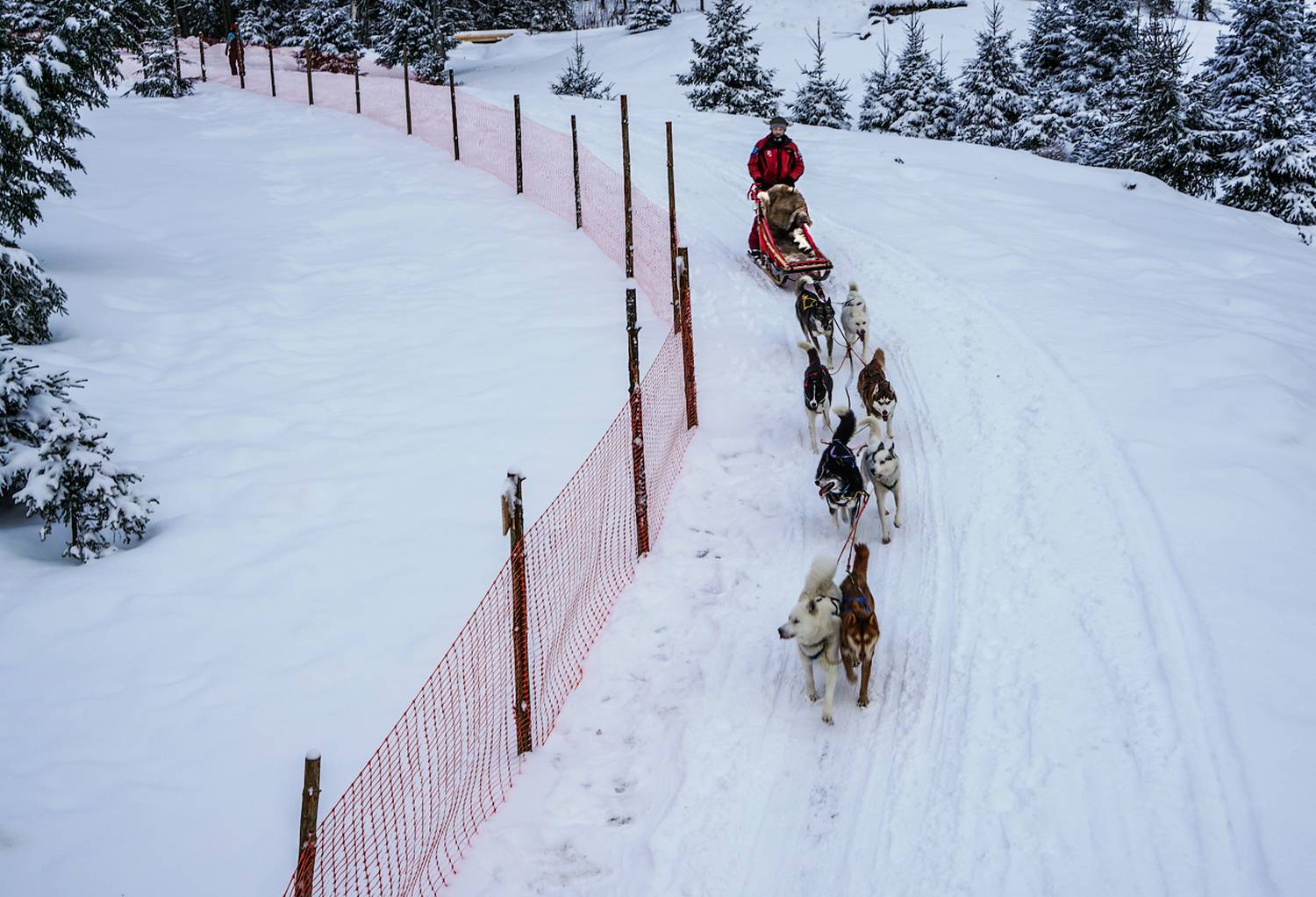 , Новикова Ольга